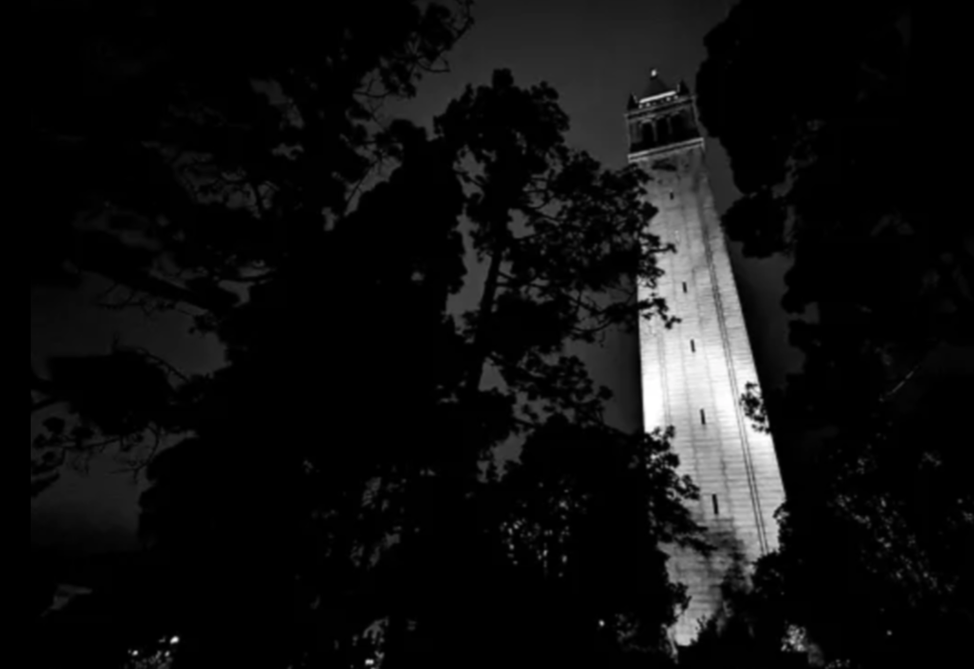 A grainy black and white image of UC Berkeley's campanile tower lit up at night, viewed behind trees.