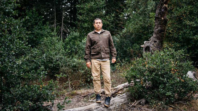 Man standing on a fallen tree in a forest.
