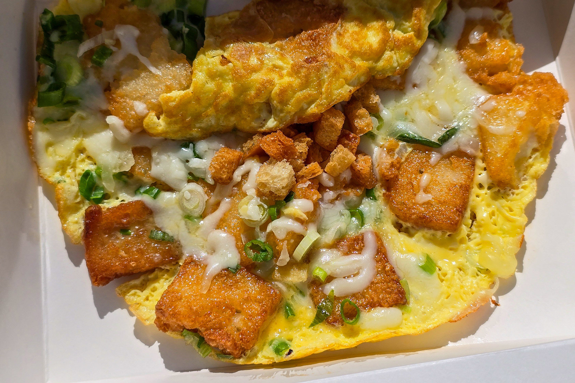 An omelette topped with fried rice cakes and melted mozzarella cheese.