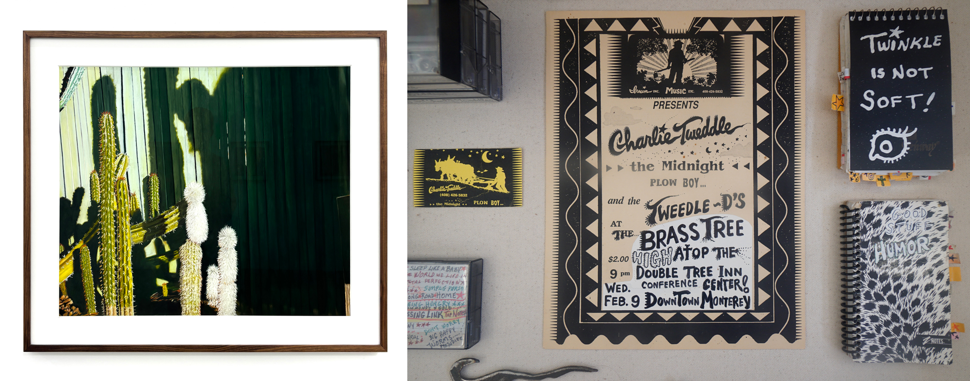 framed drawing of brightly lit cactus against green fence, at right handwritten paper documents