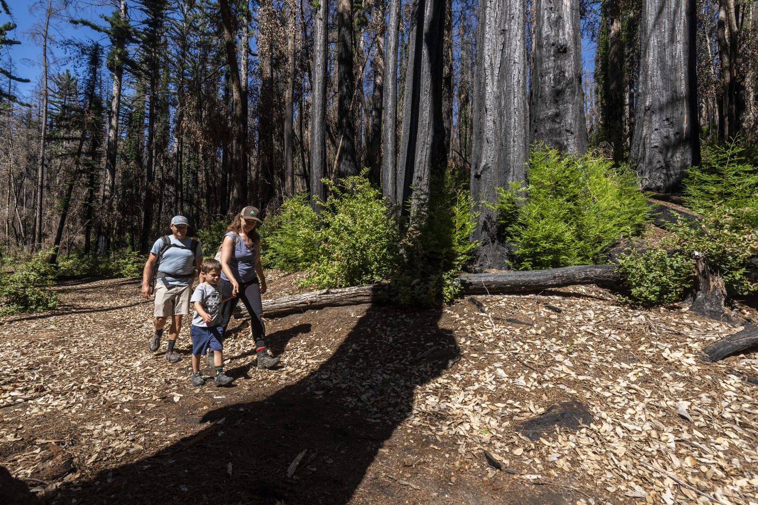 two adults and child walk along path under trees