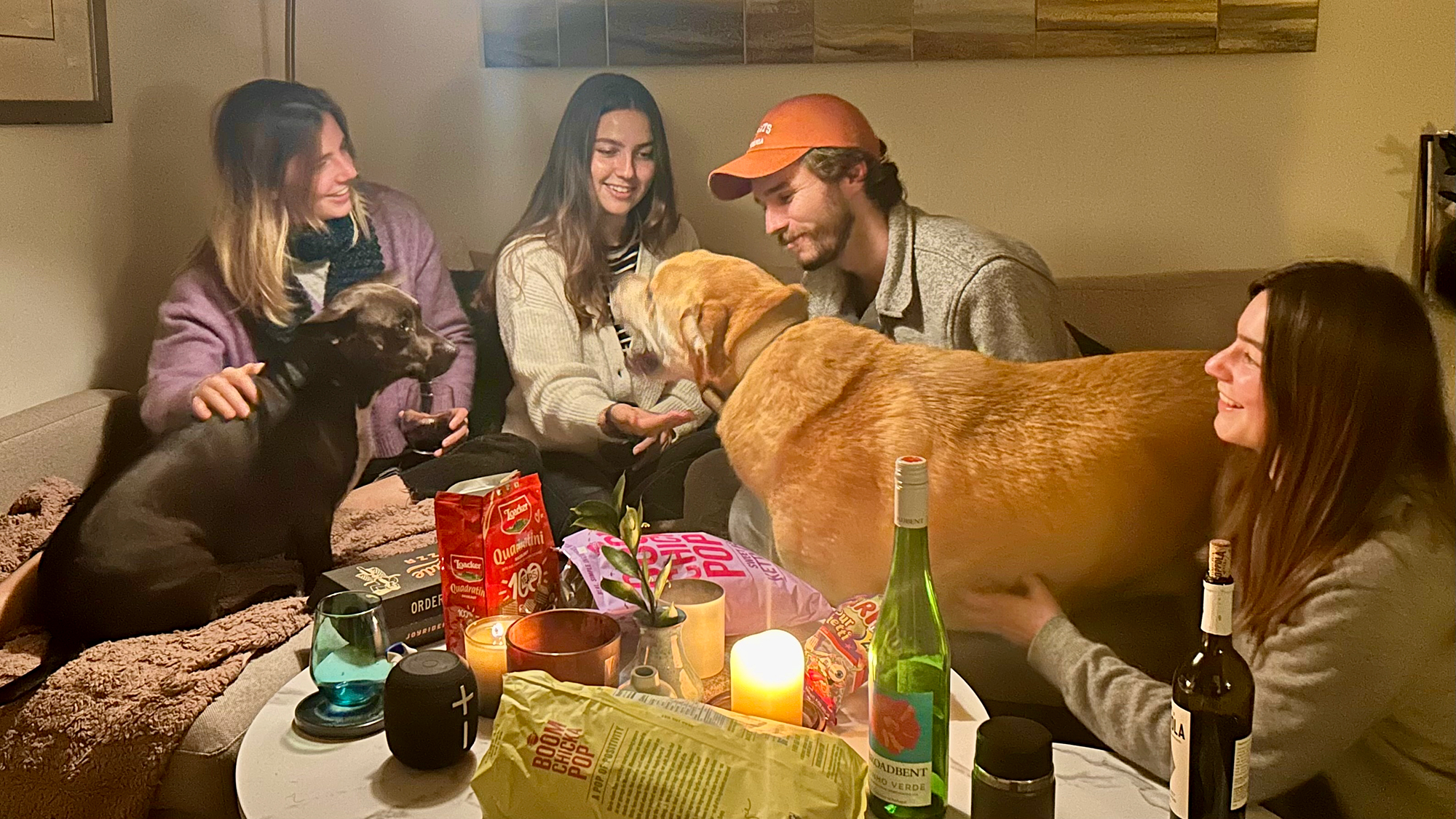 Four smiling people in their 20s and two dogs sit on the couch and floor to gather around a coffee table covered in wine, snacks, a plant and a candle.