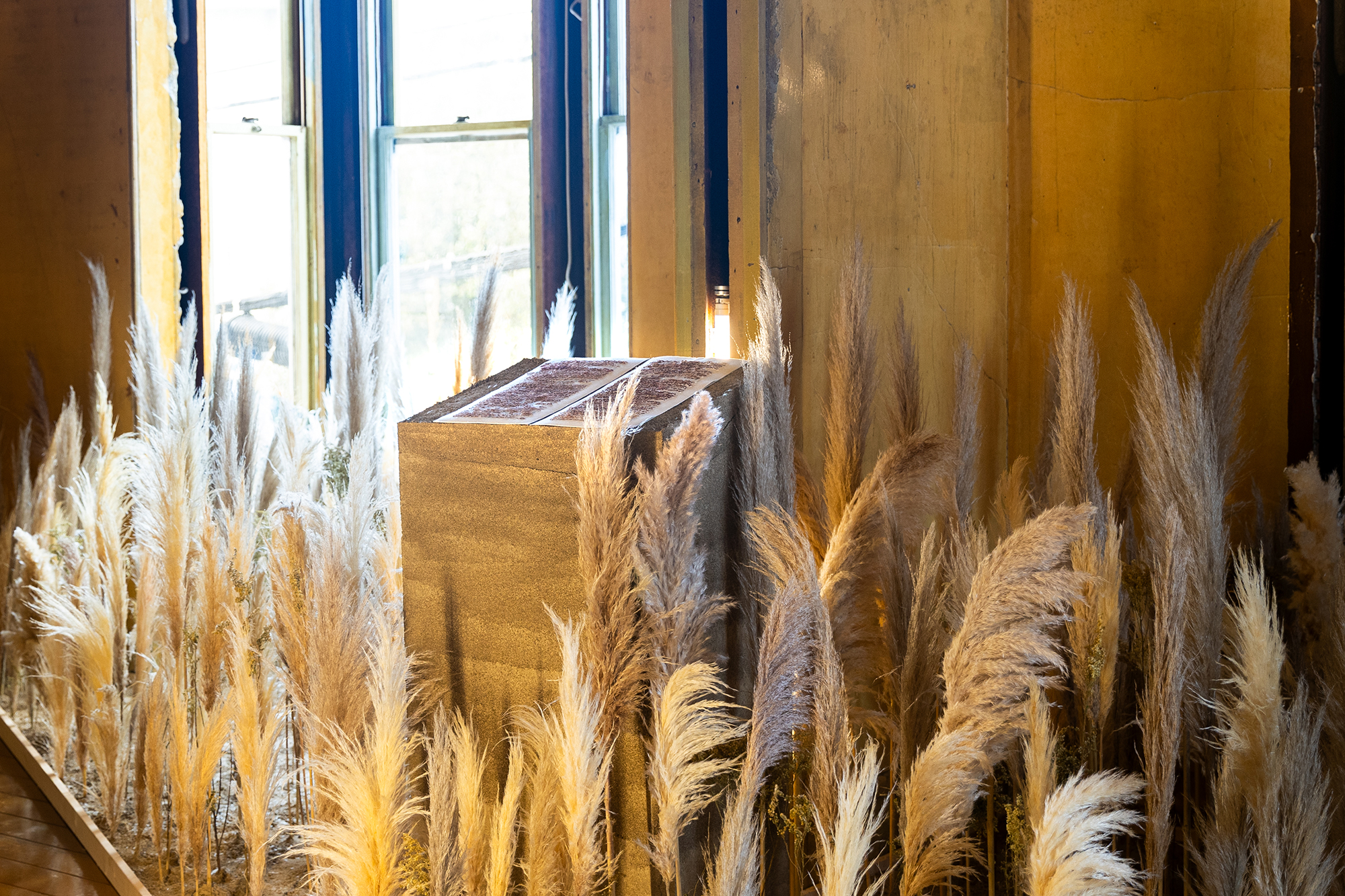 A pedestal holding a burnt-red colored book is surrounded by dry foliage of similar height inside a room with yellowish walls