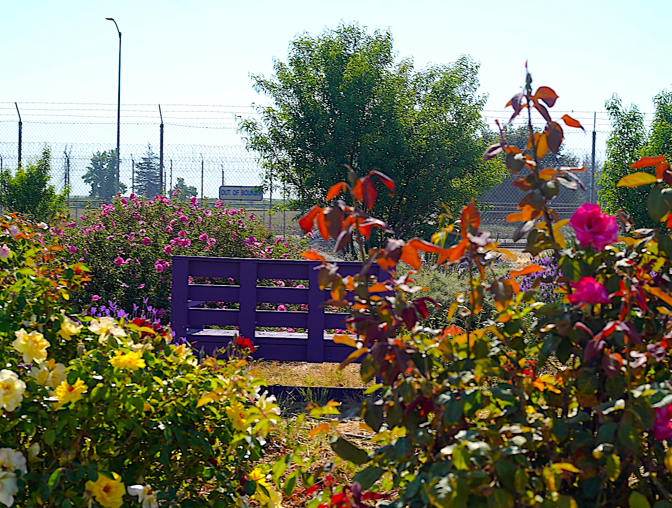 A photo of a garden. 
