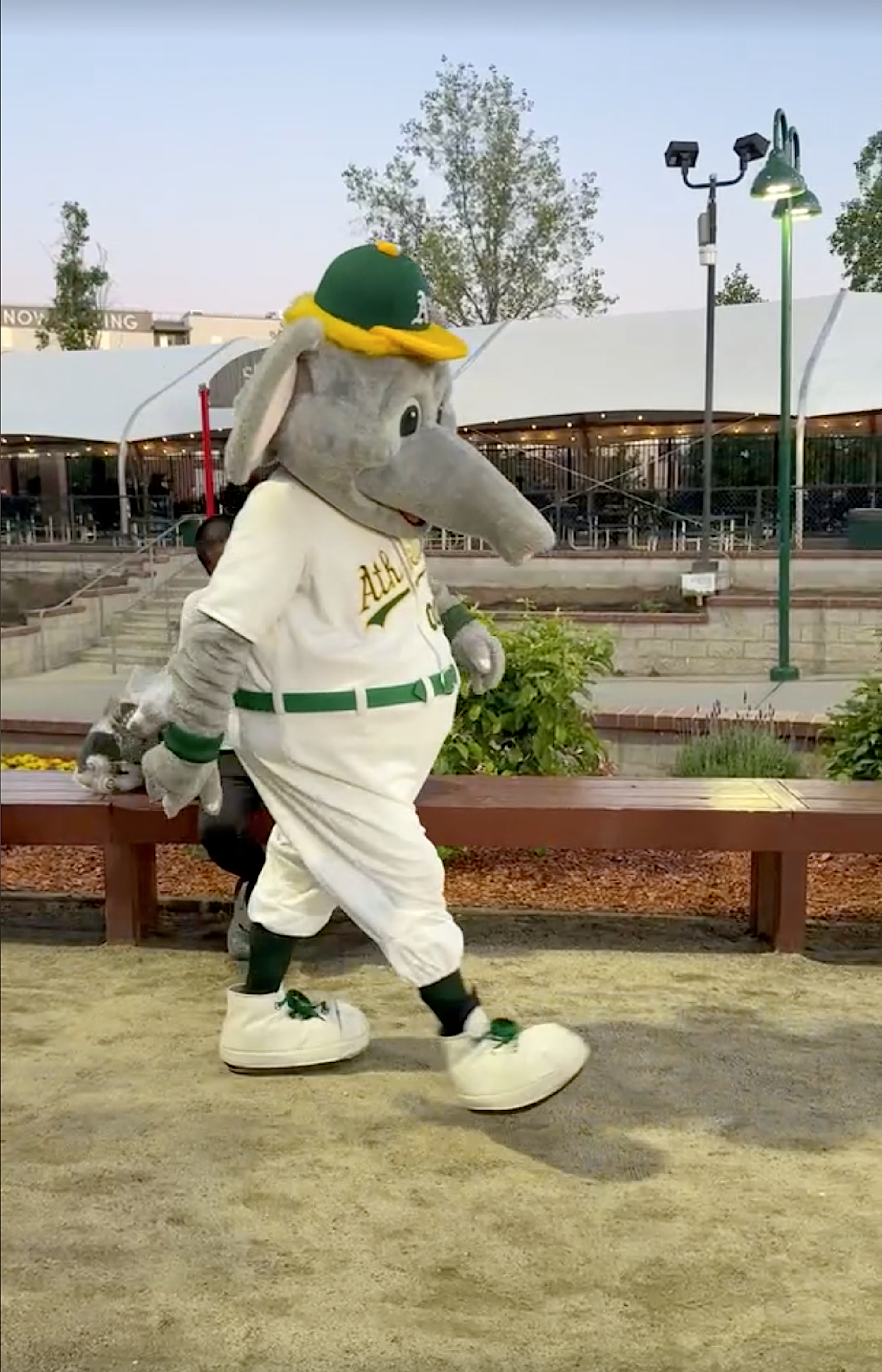 A mascot elephant walking by.