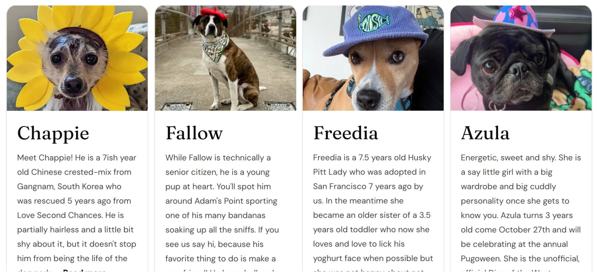 four dog images with descriptive text below