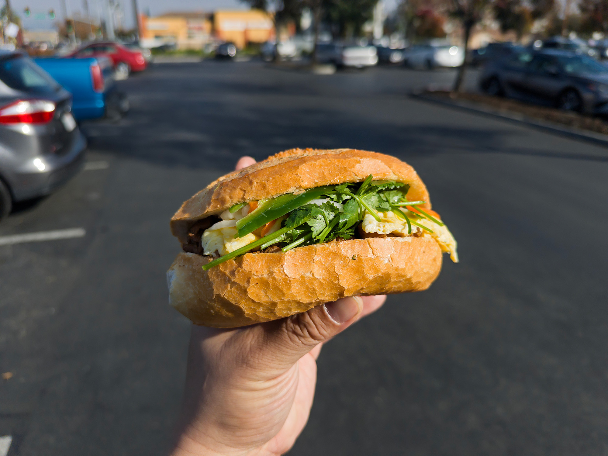 Hand holding a small banh mi in a parking lot.