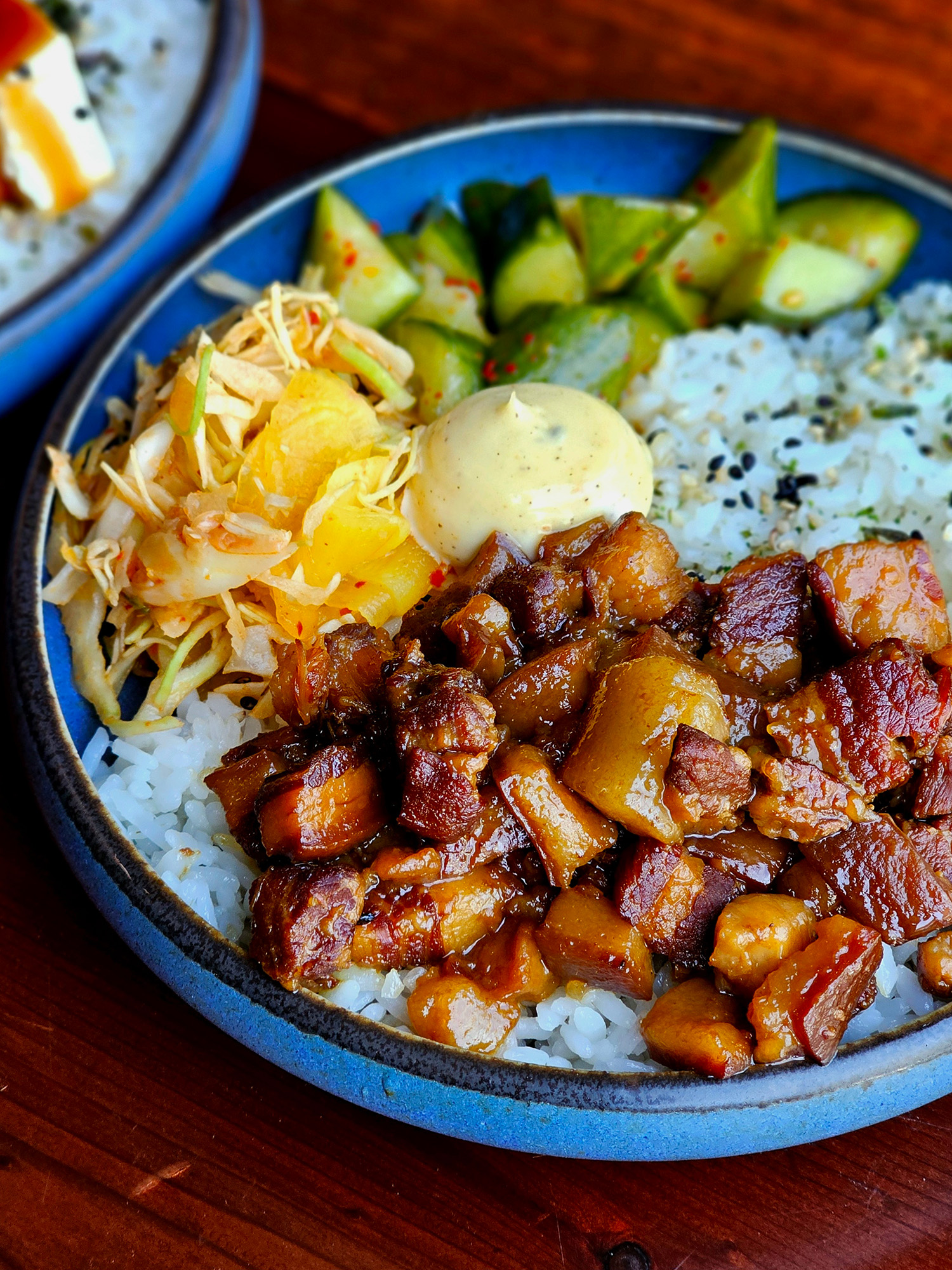 An elegant bowl of braised pork over rice.