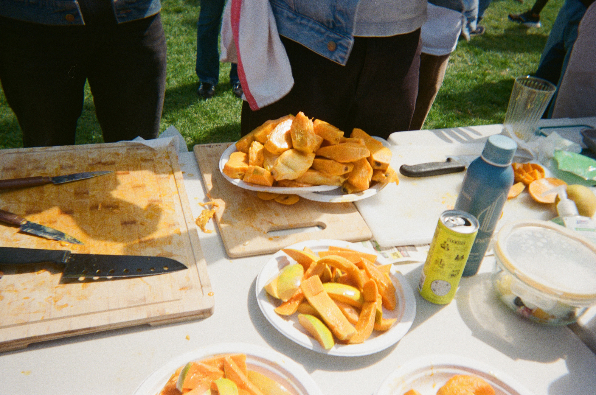 A spread of sliced mangoes on a picnic table.