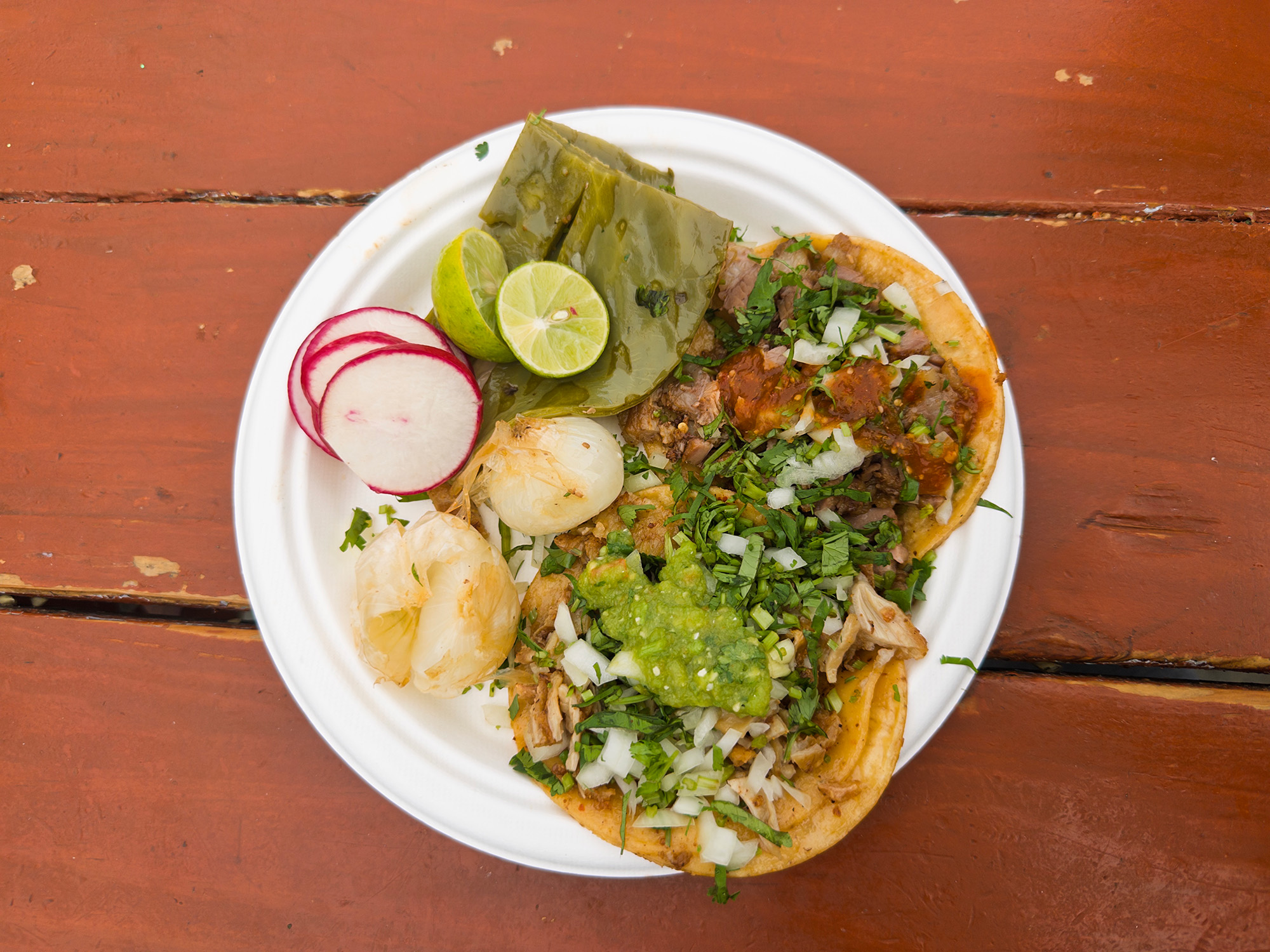 Two tacos, radishes, grilled onions and nopales on a paper plate.