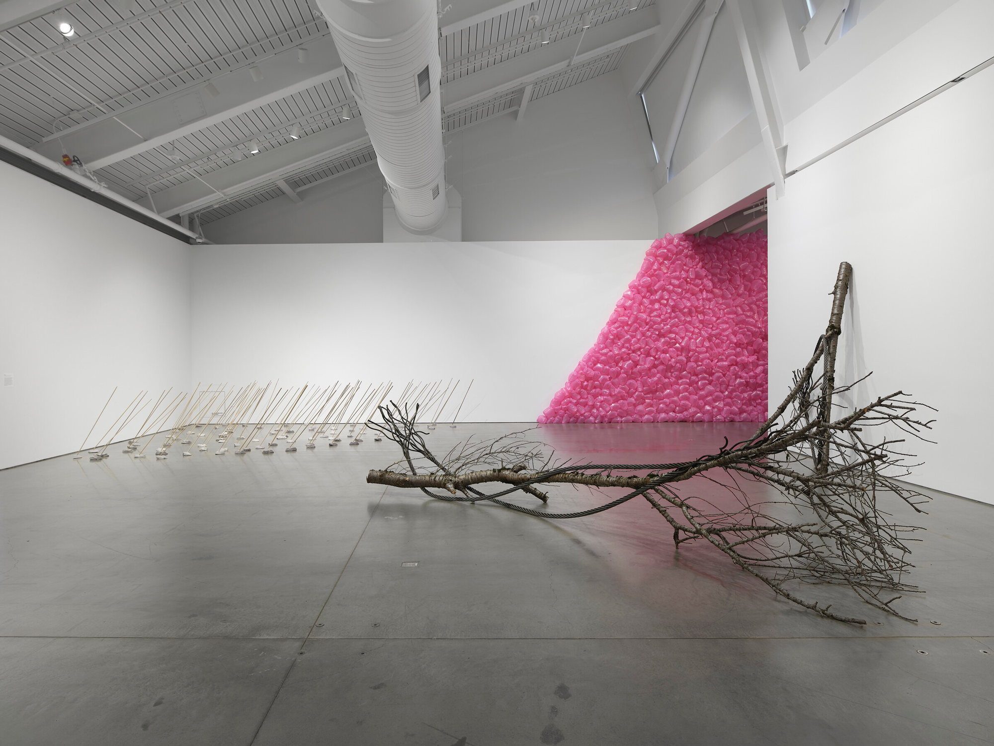 installation view with large branch sculpture in foreground, small sticks in left corner and pink plastic bags on back wall