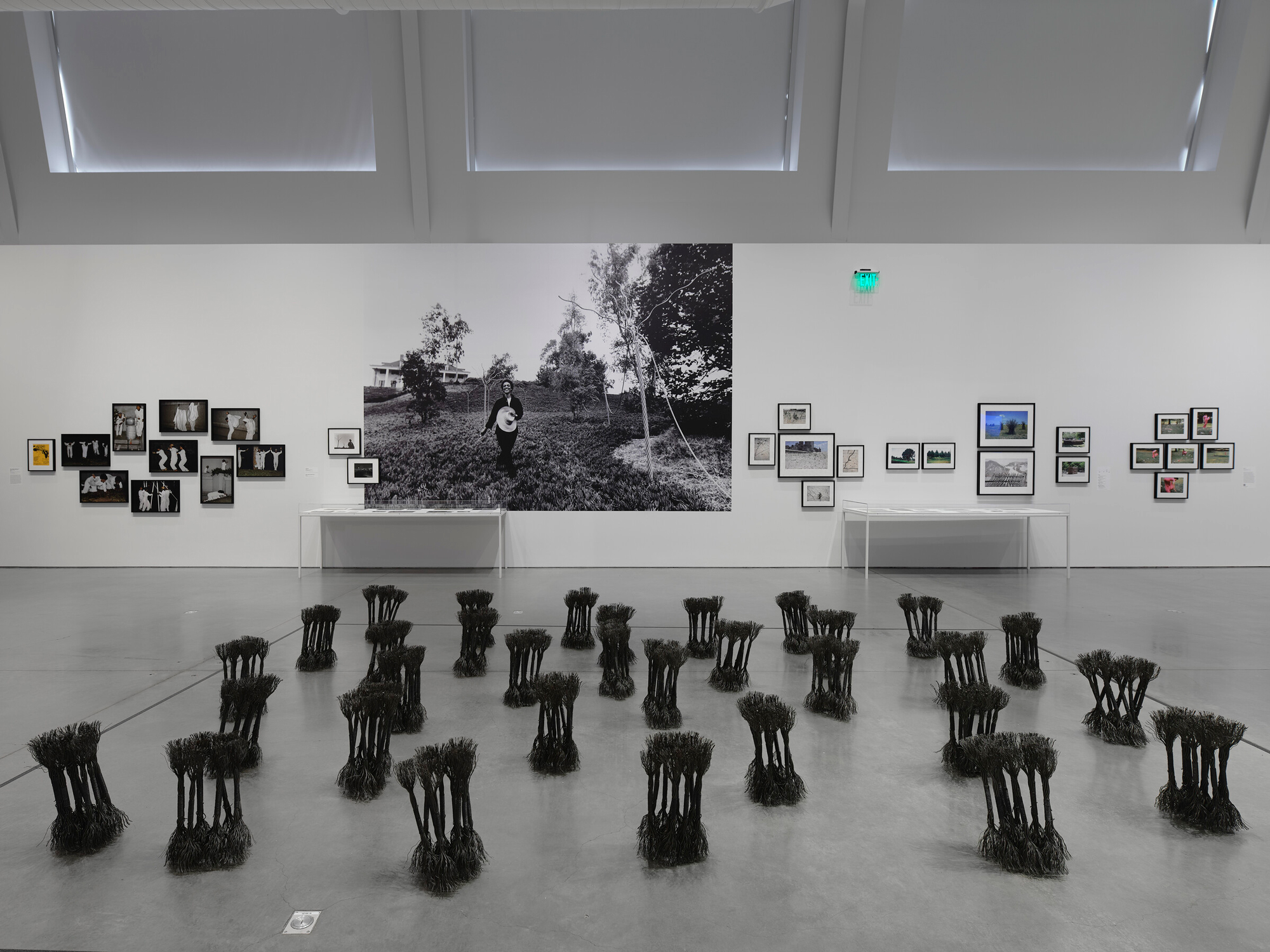 gallery view with many small wire rope bundles in foreground, framed photos and large vinyl on wall behind