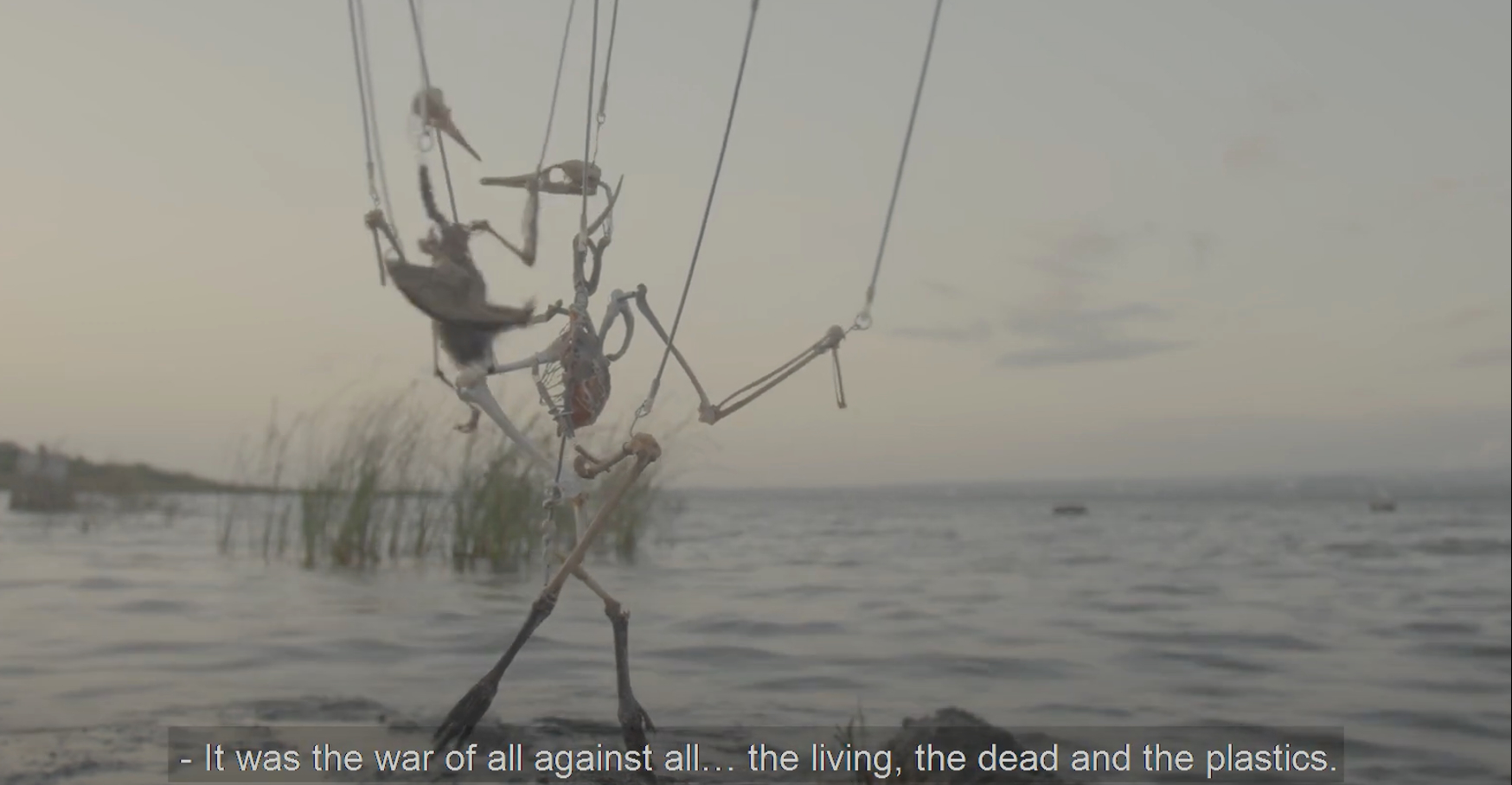 skeleton puppet in water