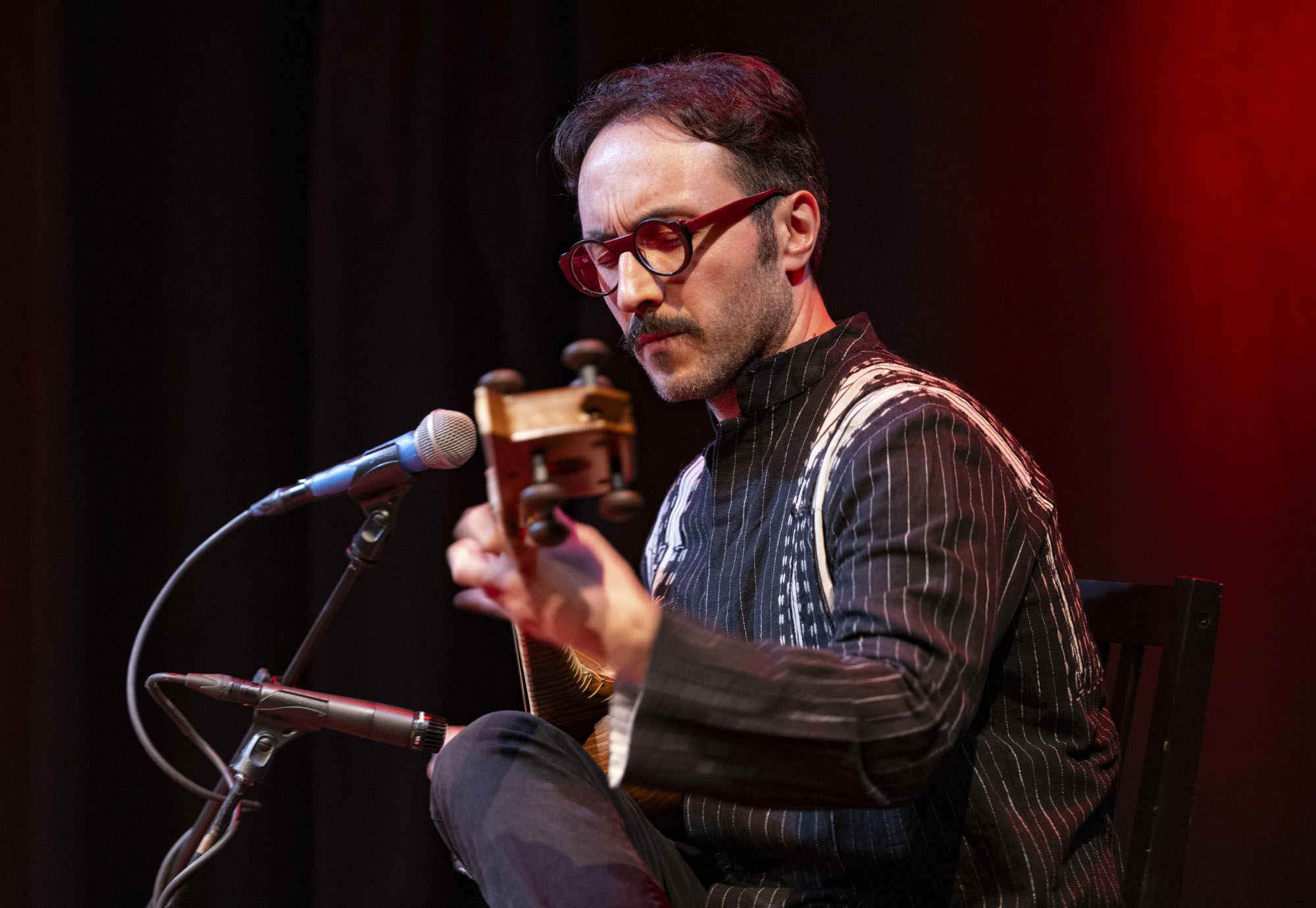 Man plays a traditional Iranian string instrument.