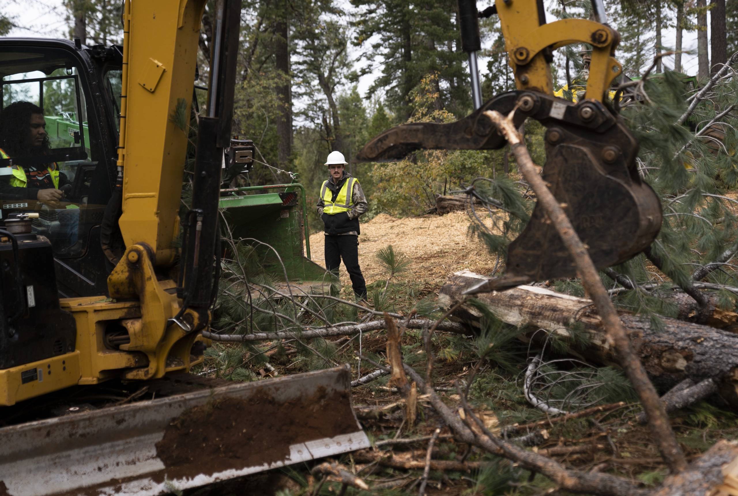 Person walking in forest amid heavy machinery