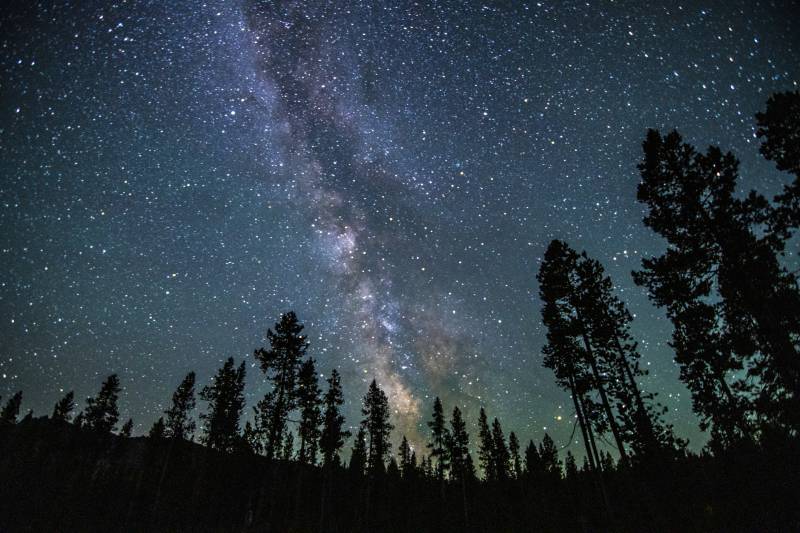 Milky Way visible in a forest