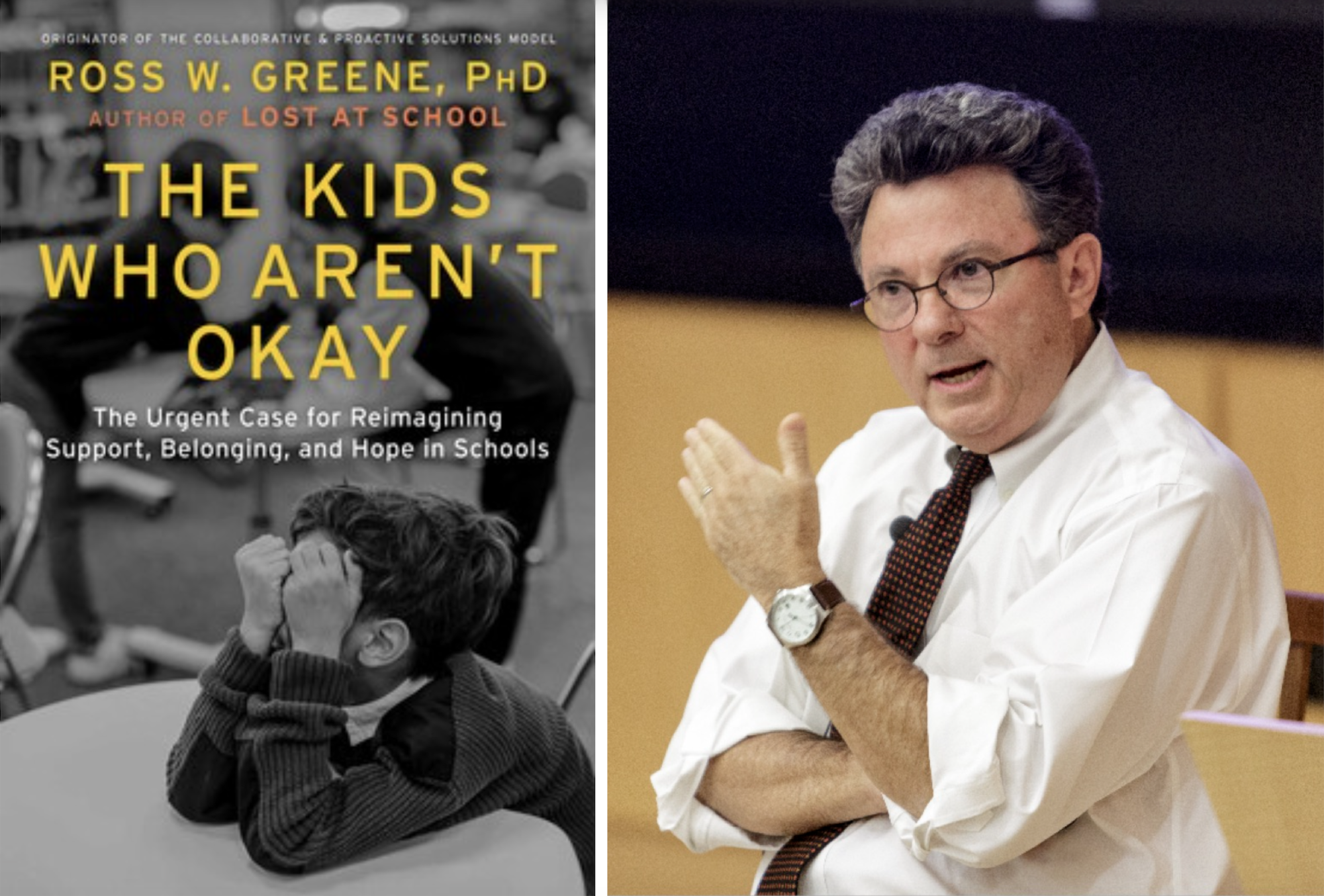 Book jacket of frustrated student covering his face alongside author photo