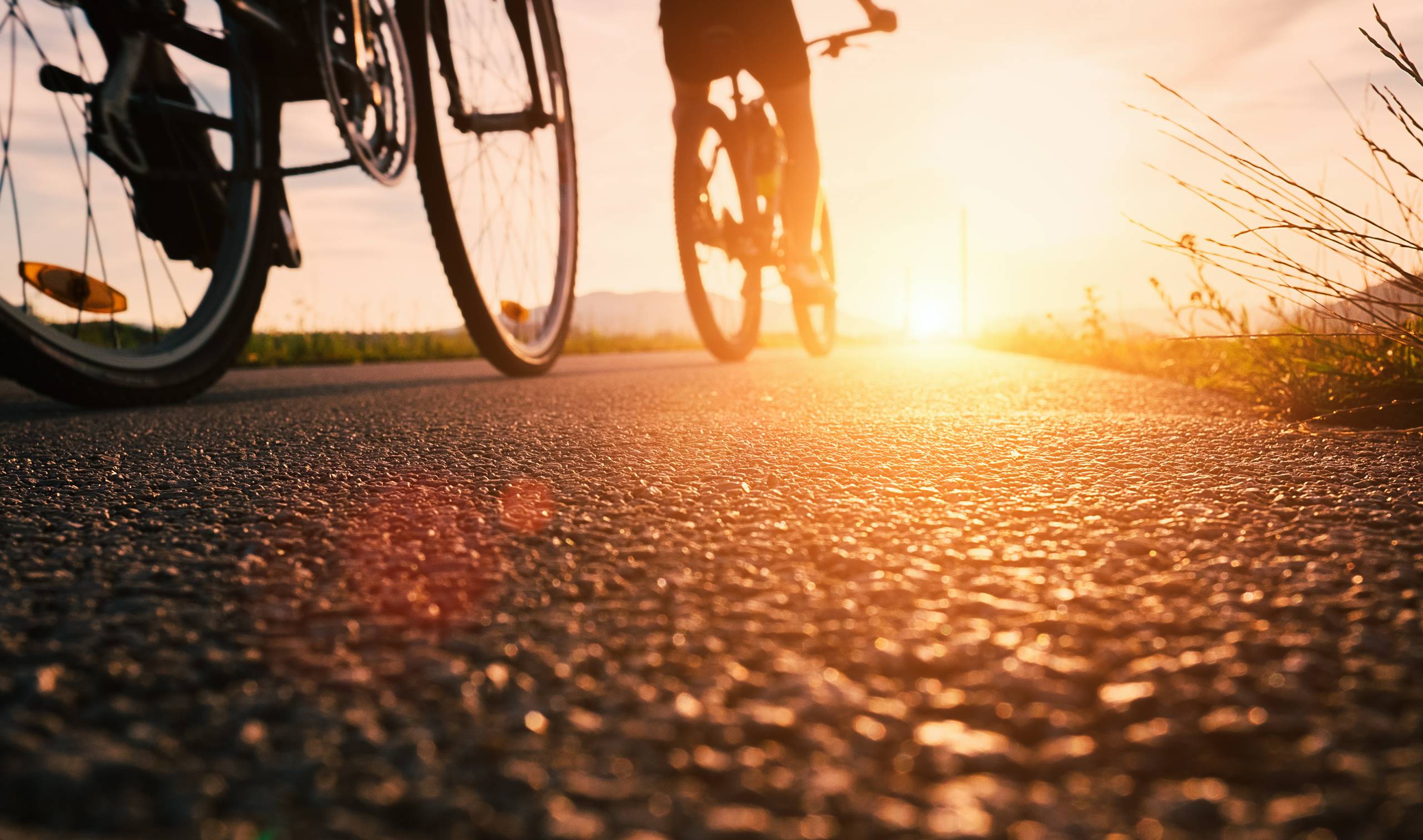 Rear view of two people riding bikes towards susnet
