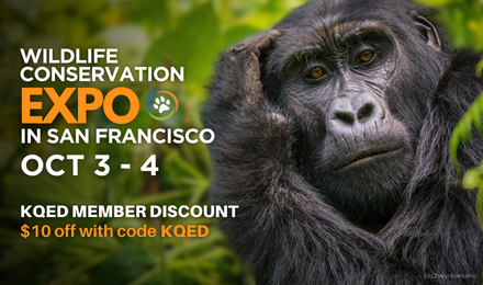 Wildlife Conservation Expo in San Francisco, October 3-4. KQED members get $10 off with code KQED