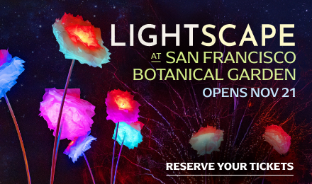 Fluorescent flowers at night with "Lightscape at San Francisco Botanical Garden" on the right side of the graphic.