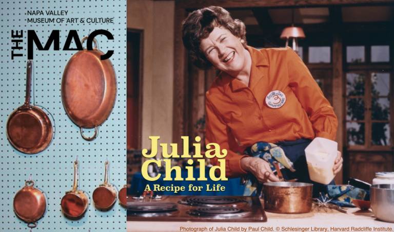 Banner with an image of Julia Child to promote the exhibit: Julia Child: A Recipe for Life