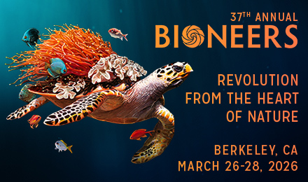Promotional banner promoting 37th Annual Bioneers with coral reef decorated turtle