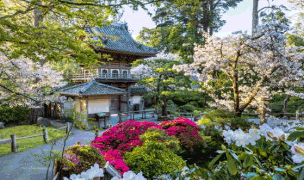 Rotating gif showing images of Conservatory of Flowers, Japanese Tea Garden and San Francisco Botanical Garden