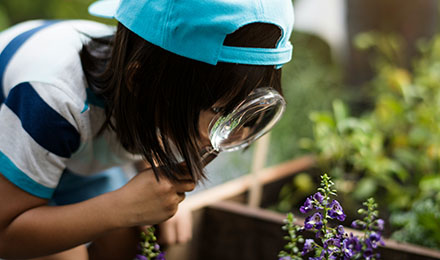 Kid looking at a plant through a magnifying glass