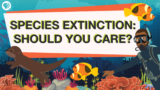 Is the Endangered Species Act at Risk of Extinction?