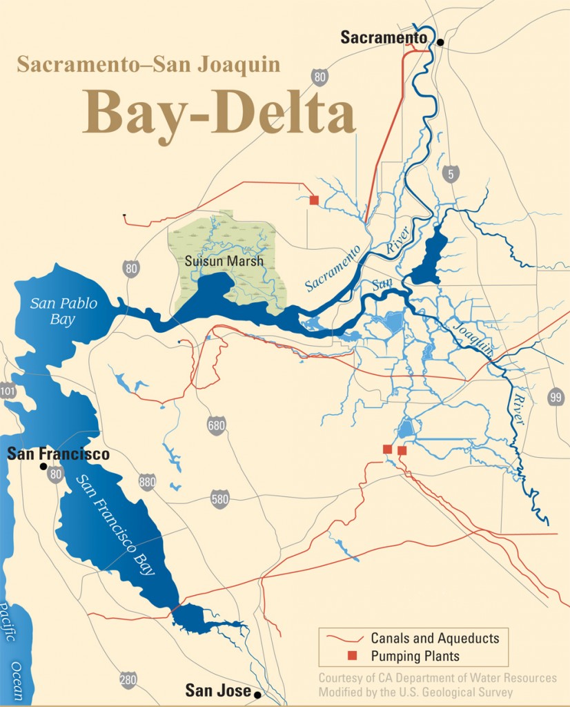 На берегах сакраменто. Река Сан Хоакин. Река Сакраменто на карте. Project Delta Map. Карта Сазанов Дельта Сан Хоакин.