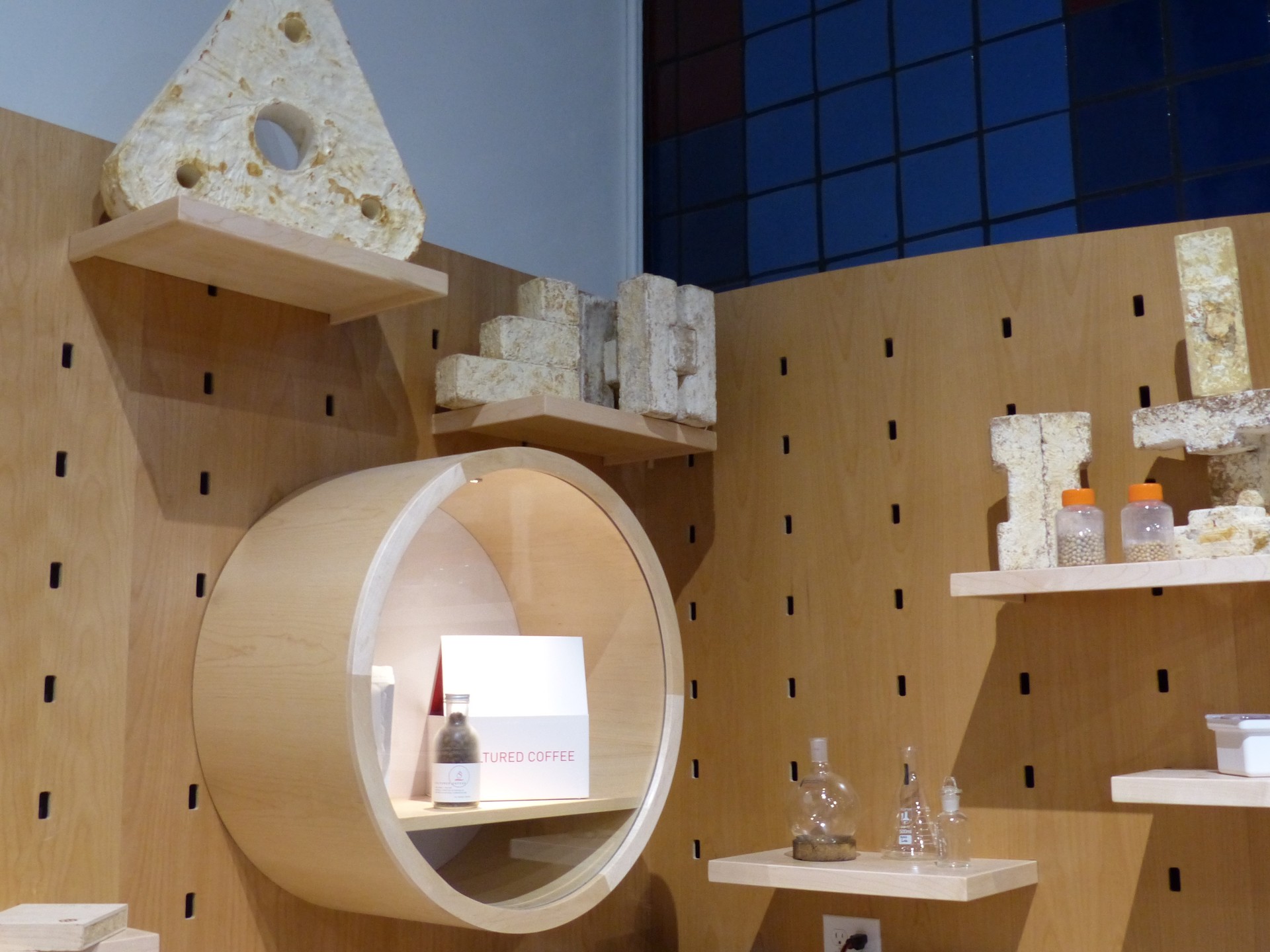 BioDesign Studio Lets You Tinker With Biology to Make Something New | KQED