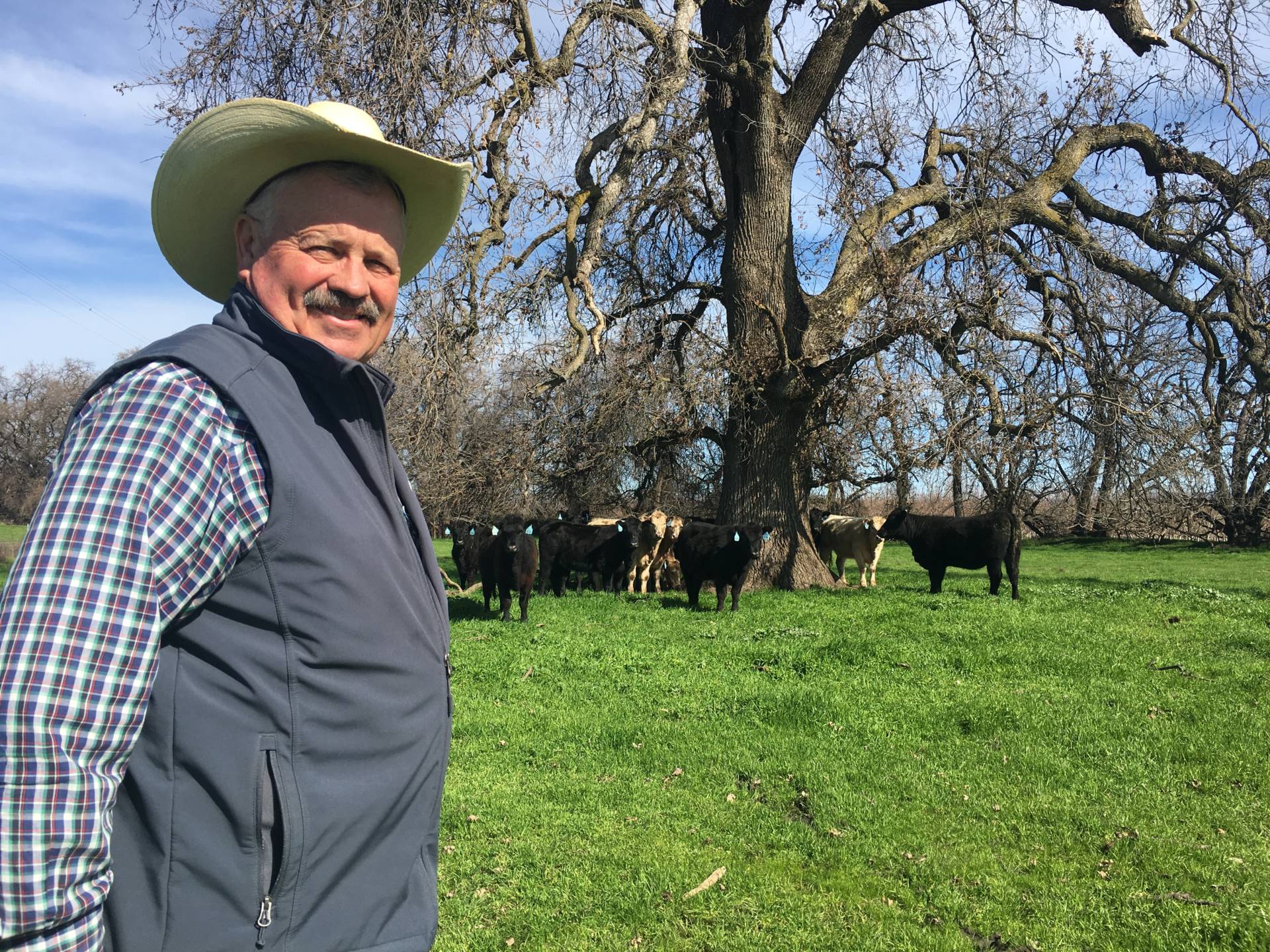 These California Ranchers Welcome Trump's Policies ... Here's Why | KQED