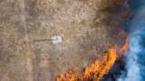 New Fire Retardant Acts Like ‘Vaccine’ Against Wildfires