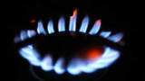 Trade In Your Gas Stove to Save the Planet? Berkeley Bans Natural Gas