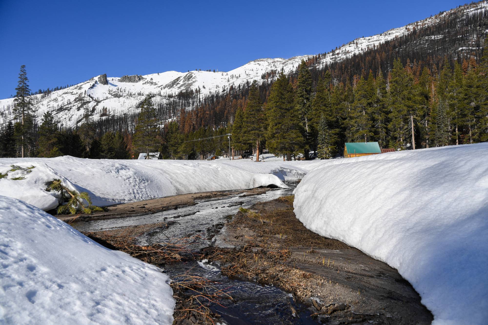 An apline creek running over a dark greanite slabe with white snow to the left and right. Green evergreens and white snow covered mountain peaks in the background.