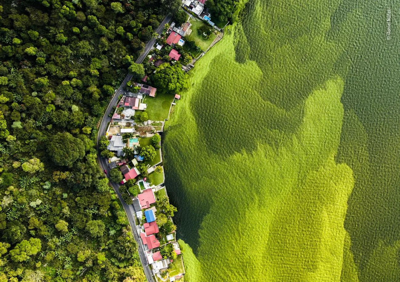 See the Buzzworthy Winners of the Wildlife Photographer of the Year ...