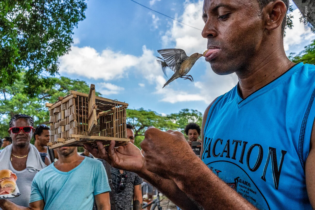 See the Buzzworthy Winners of the Wildlife Photographer of the Year ...