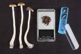 Magic Mushrooms May Treat Depression. But Hurdles to Psilocybin Access
Abound