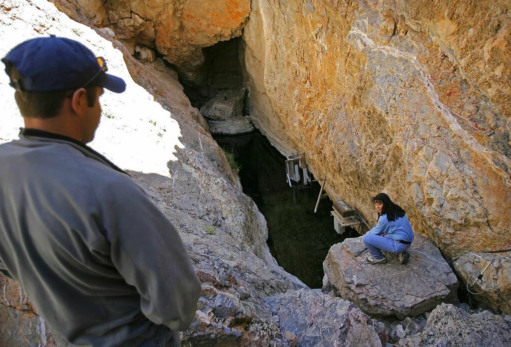 Rare Devils Hole Pupfish Offers Inspiring Story of Survival in Death ...