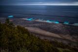 Glittering Tides: Where to Spot Bioluminescence in the Bay Area
