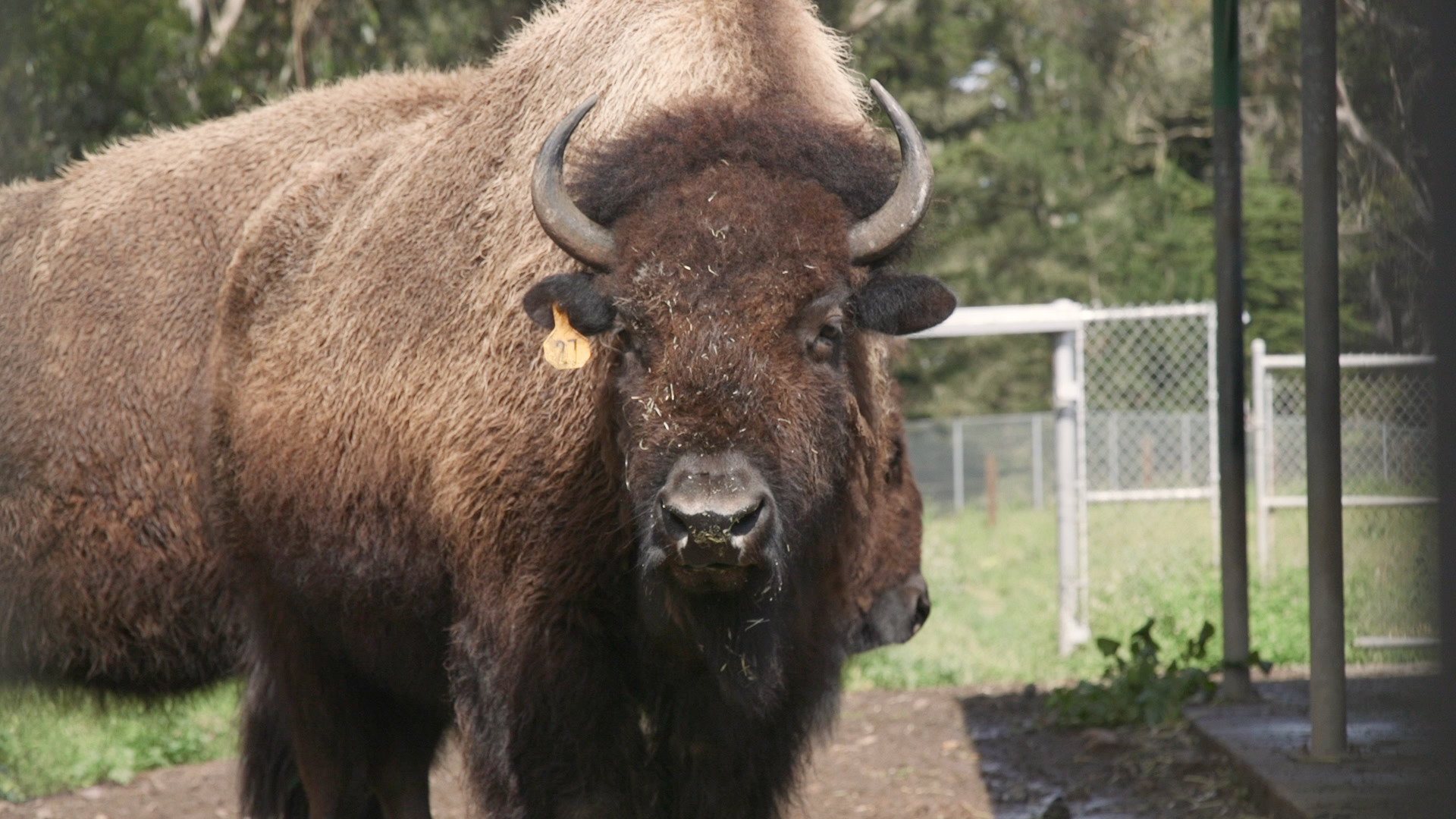 Top Bay Area Hikes for Wildlife Spotting | KQED