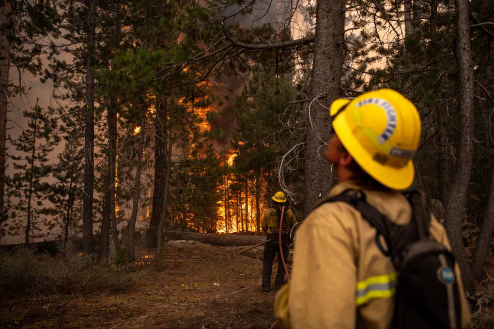 Two men wearing fire safety helmets, uniforms, and equipment look towards a fire in a forest.