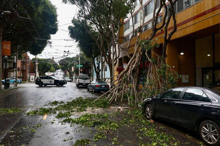 Severe Bay Area Storm Brings Historic Winds, Regional Flooding and ...