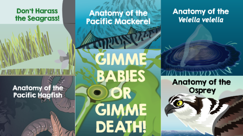 A collage of titles and illustrations from the Squidtoon comic series. Titles read: "Don't Harass the Seagrass!" "Anatomy of the Pacific Hagfish" Anatomy of the Pacific Mackerel" "Gimme Babies Or Gimme Death!" "Anatomy of the Velella velella" "Anatomy of the Osprey"