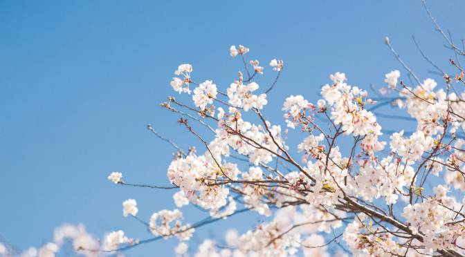 Spring Sees Seeds of InteRNational Nursing Blossom » College of