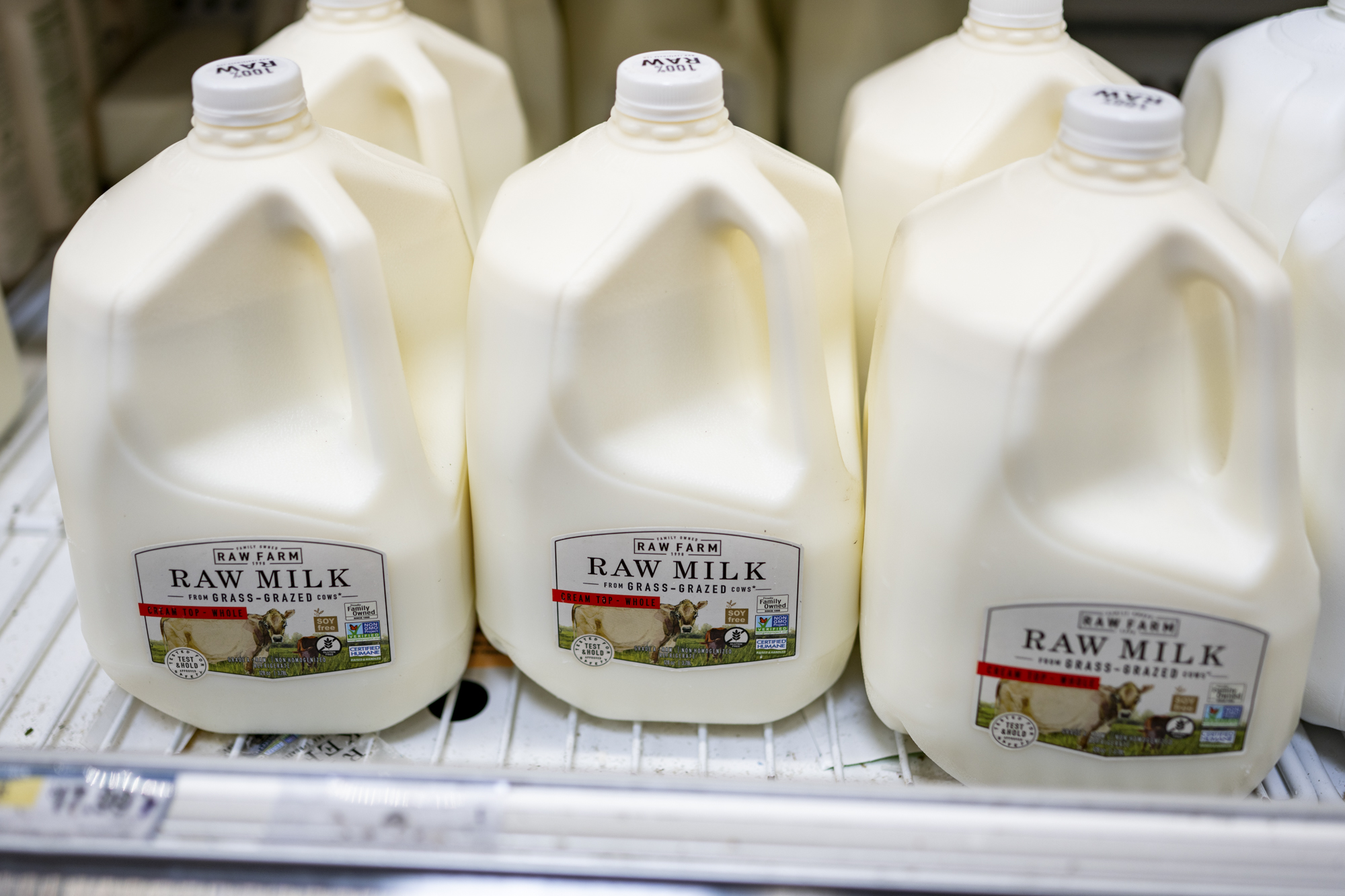 Gallons of raw milk in jugs inside a refrigerator.
