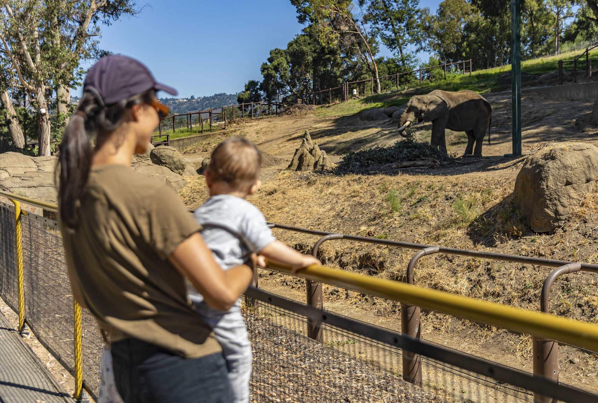 A mom and baby look at an elephant.