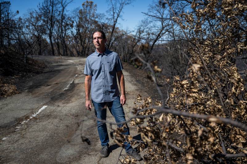 A man wearing a blue shirt stands on the road near trees.