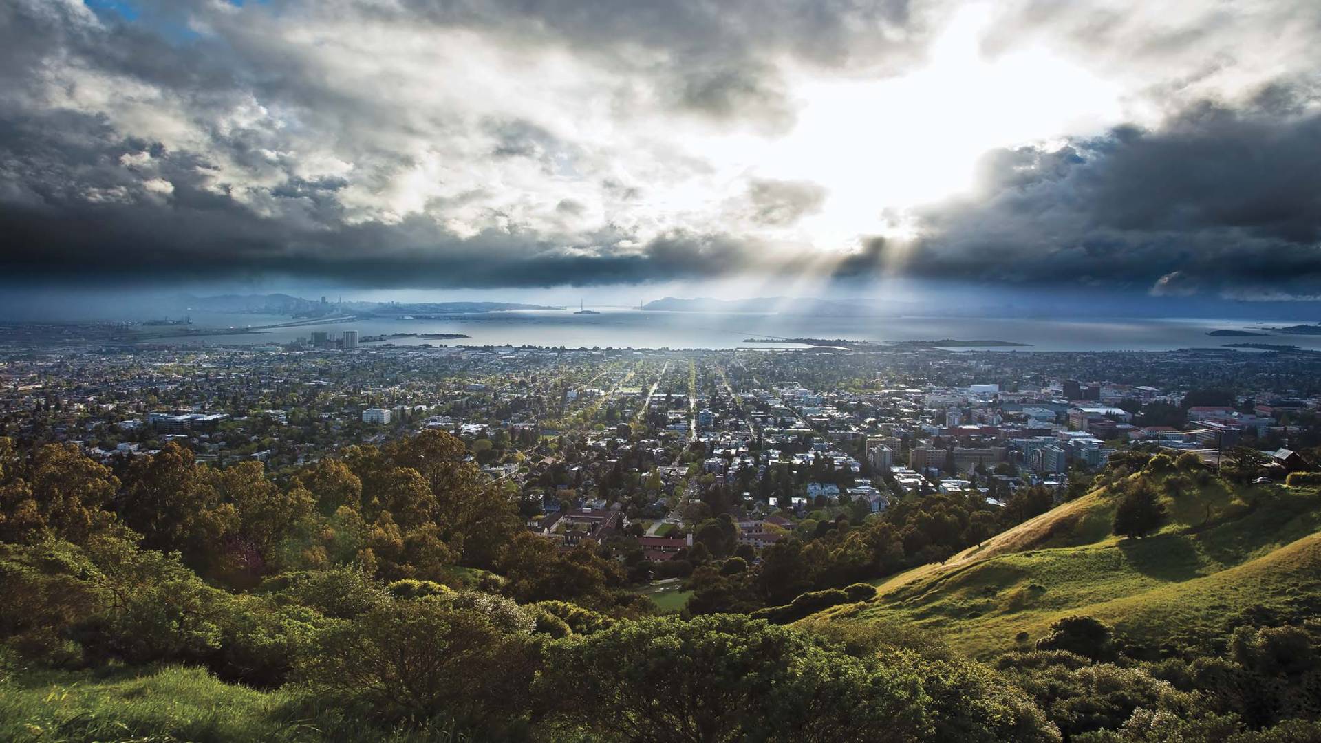 Claremont Canyon Regional Preserve. Fred Rowe/East Bay Regional Park District