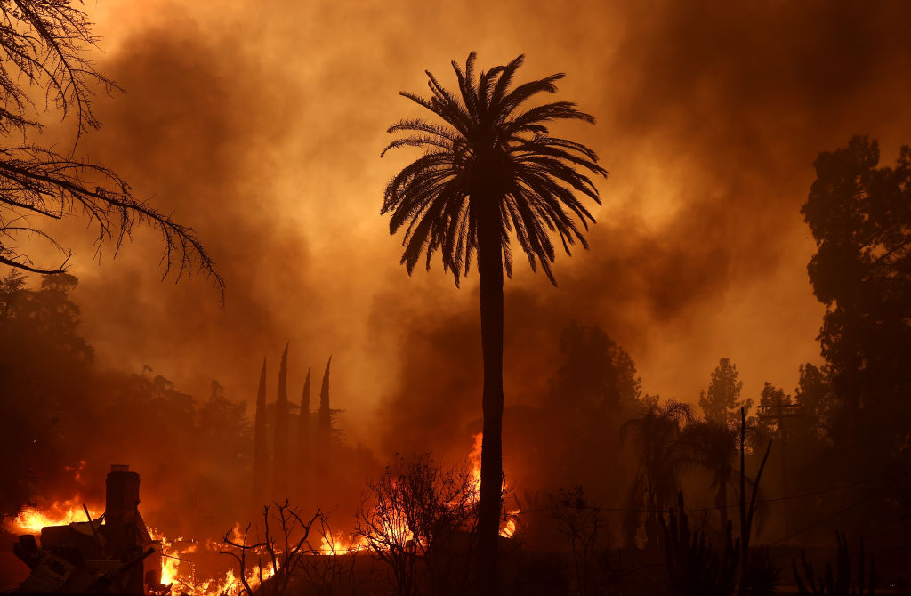 A burning smoky area with structures in the background amid flames and a palm tree standing precariously in the foreground.